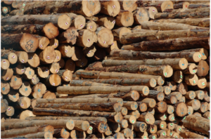 Lyttleton logs