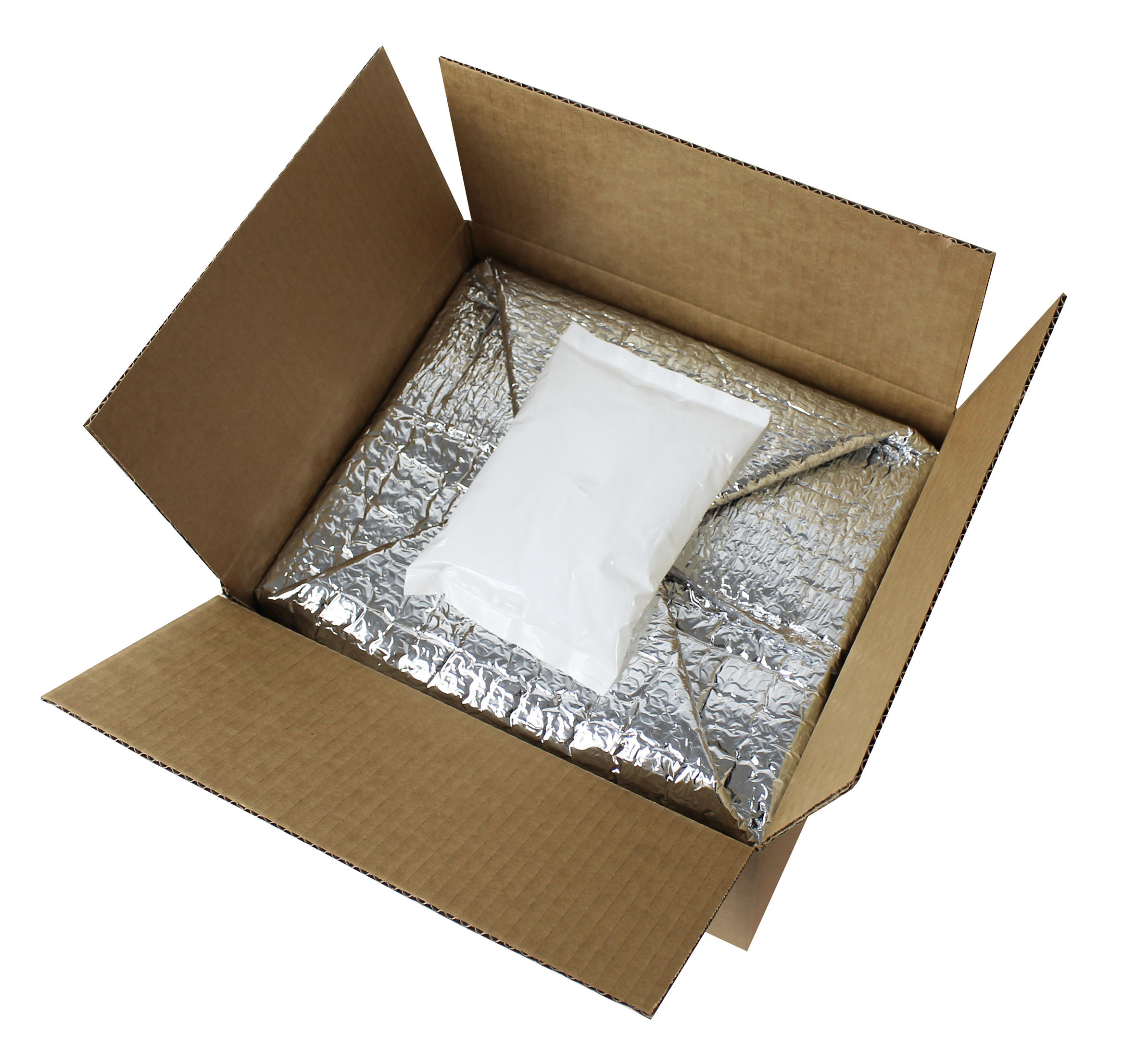 Cold Chain Carton with Liner and GP